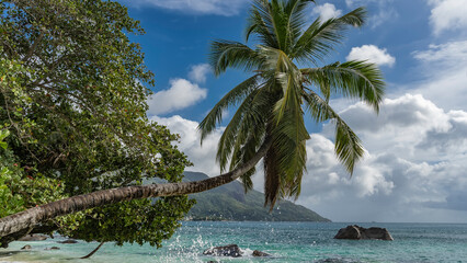 The elegantly curved trunk of a palm tree leaned over the turquoise ocean. Splashes in the air. Boulders in the water. Lush green leaves on a background of blue sky and clouds. Seychelles. Mahe