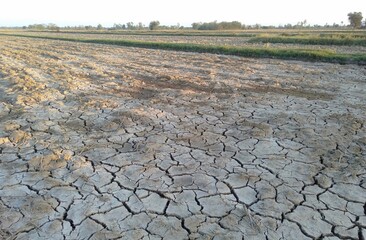 plowed field in autumn
