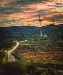 wind turbines at sunset