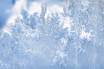 氷点下１２度の朝、窓ガラスの結晶３
