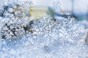 氷点下１２度の朝、窓ガラスの結晶２