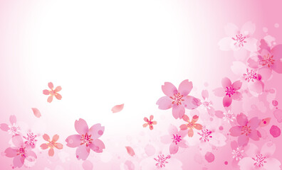 桜　優しい春の背景イラスト