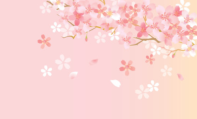 Plakat 桜　優しい春の背景イラスト