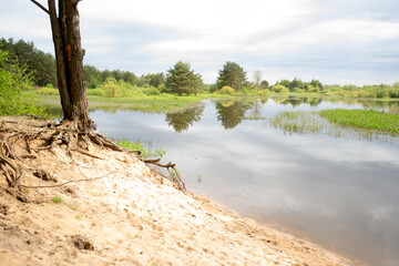 River bank. Nature in spring. Belarus.