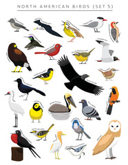 North American Birds Set Cartoon Vector Character 5