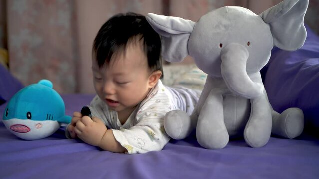 Adorable kid chew the lens cap and accompanied by little shark and elephant plush toy
