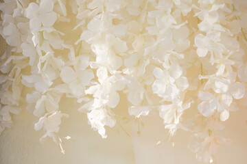Long white flowers for background decoration in various ceremonies