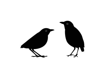 Vector illustration of a beautiful bird silhouette