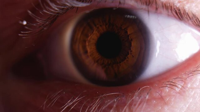 Super macro of the cornea of the human eye. Biodiaphragm. Light sensitive sensor. Biorobot. Science fiction.