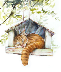 Red cat sleeps in a tree feeder. Watercolor hand drawn illustration - 564134964