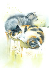 Two cats are resting on a stump. Urban scene. Street cats. Watercolor hand drawn sketch - 564134965