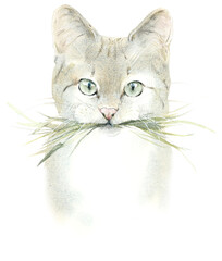 Vegan cat. Cat eats grass to clear its stomach. Watercolor hand drawn illustration - 564134979
