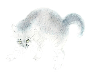 The kitten is frightening, playing. Watercolor hand drawn sketch - 564134989