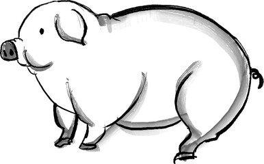 Watercolor Chinese ink paint art Chinese zodiac sign pig