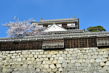 松山城に咲く満開の桜