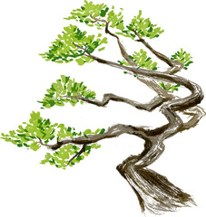 Watercolor Chinese ink paint art plant cypress