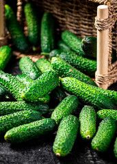 Bunch of fresh homemade cucumbers. 