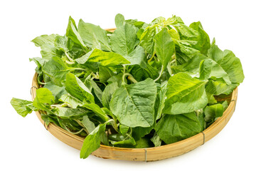 Amaranthus viridis or Spinach vegetable Isolate on white background with clipping path.