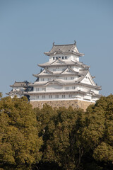 日本の国宝姫路城の美しい風景