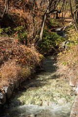 草津温泉にある西の河原公園の美しい風景