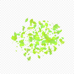 Leaves Falling Spring Flying Foliage Green Leaf