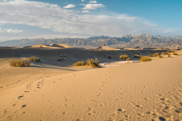 Mesquite Sand Dunes, mountains and cloudy sky background. Death Valley National Park, California
