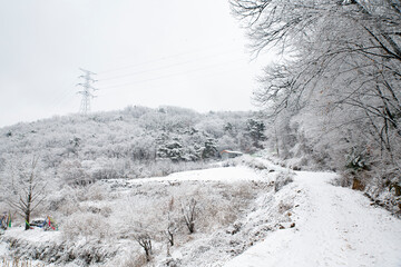 새하얀 겨울 풍경