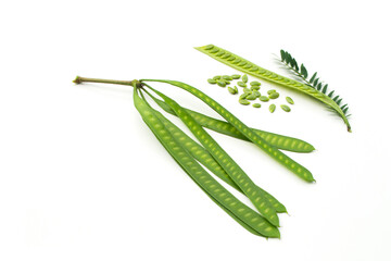 Leucaena leucocephala isolated on white background.Legumes,Acacia