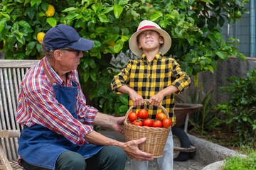 Senior man, farmer and young boy holding harvest of tomato