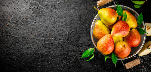 Naklejka na ściany i meble Fresh pears with leaves in a colander. 
