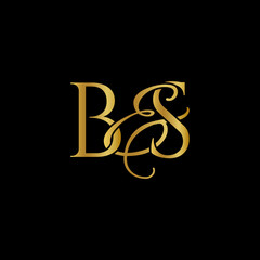 B and S , BS logo initial vector mark , BS luxury logo