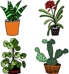 Beautiful flowers in pots on white background illustration