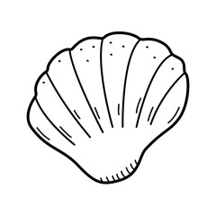 Seashell, single isolate on a white background. Vector illustration of a shell doodle sketch.