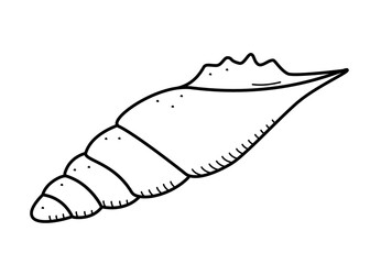 Seashell, single isolate on a white background. Vector illustration of a shell doodle sketch.
