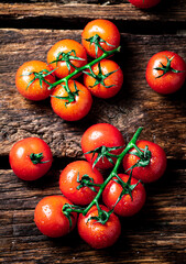 Fresh tomatoes on a branch on the table. 