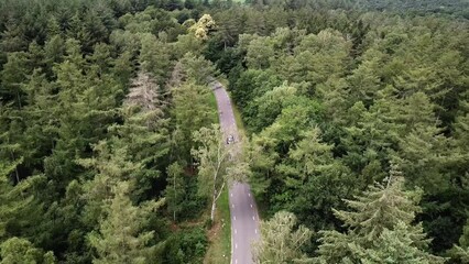 MINI John Cooper Works Clubman Driving Forest Drone