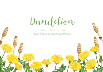 水彩で描いたたんぽぽの背景フレーム © fuufuu