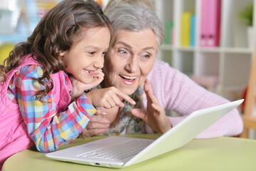 portrait of grandmother and granddaughter using modern laptop