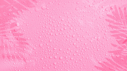 abstract background in pink colors with a shadow of tropical leaves with water drops
