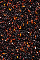 Wild raw black rice groats, food background texture, top view