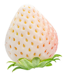 Fresh pink snow strawberry on white background, White and Pink snow Strawberries on White Background PNG File.