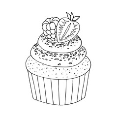 Cupcake isolated on white background. Vector illustration.