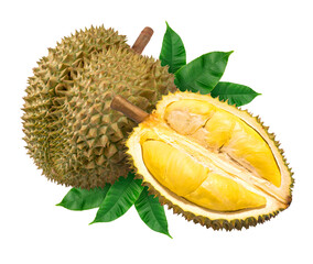 Fresh durianon white background, Durian fruit on white background PNG File.,