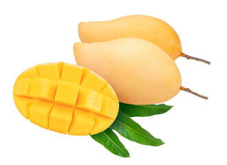 Yellow mango with leaves on white background, Golden mango on the white background PNG file.