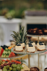 Dessert table for a party. Ombre cake, cupcakes, sweetness and flowers