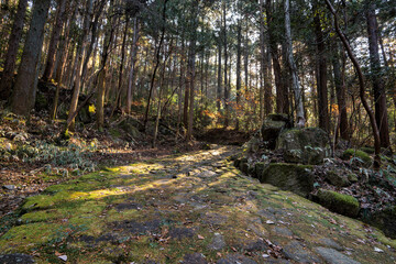 中山道　落合の石畳