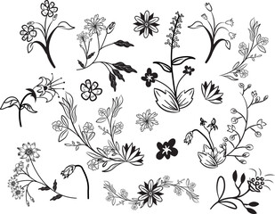 vector set of botanical leaf doodle wildflower line art isolate on white background
