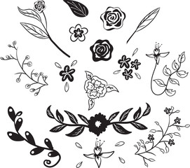 vector set of botanical leaf doodle wildflower line art isolate on white background 