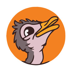 Ostrich Creative Design