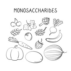 Monosaccharides-containing food. Groups of healthy products containing vitamins and minerals. Set of fruits, vegetables, meats, fish and dairy